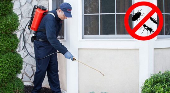 Hayrabolu Böcek İlaçlama böcek ilaçlama ve haşere kontrolü — ilaclama-tr.com